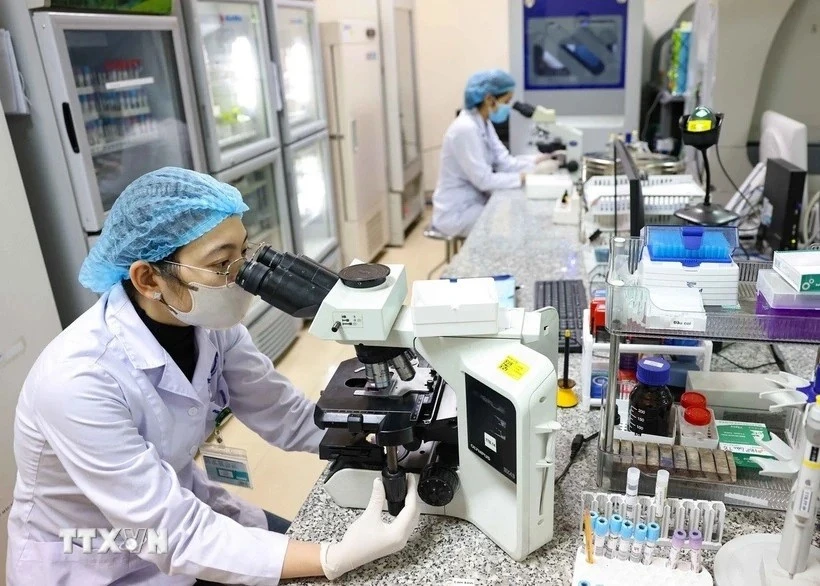 Vietnam sets roadmap for intellectual workforce to 2045
