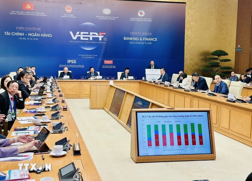 Vietnam economic forum 2025: balancing high growth and sustainability