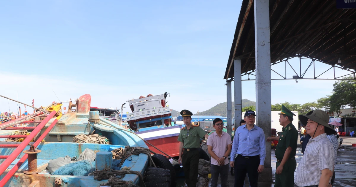 Ho Chi Minh City steps up oversight of unqualified fishing vessels