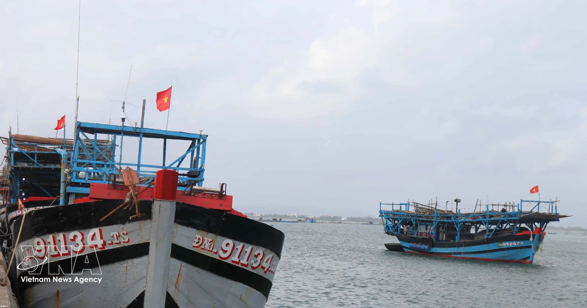 Da Nang fulfills EC recommendations in fight against IUU fishing
