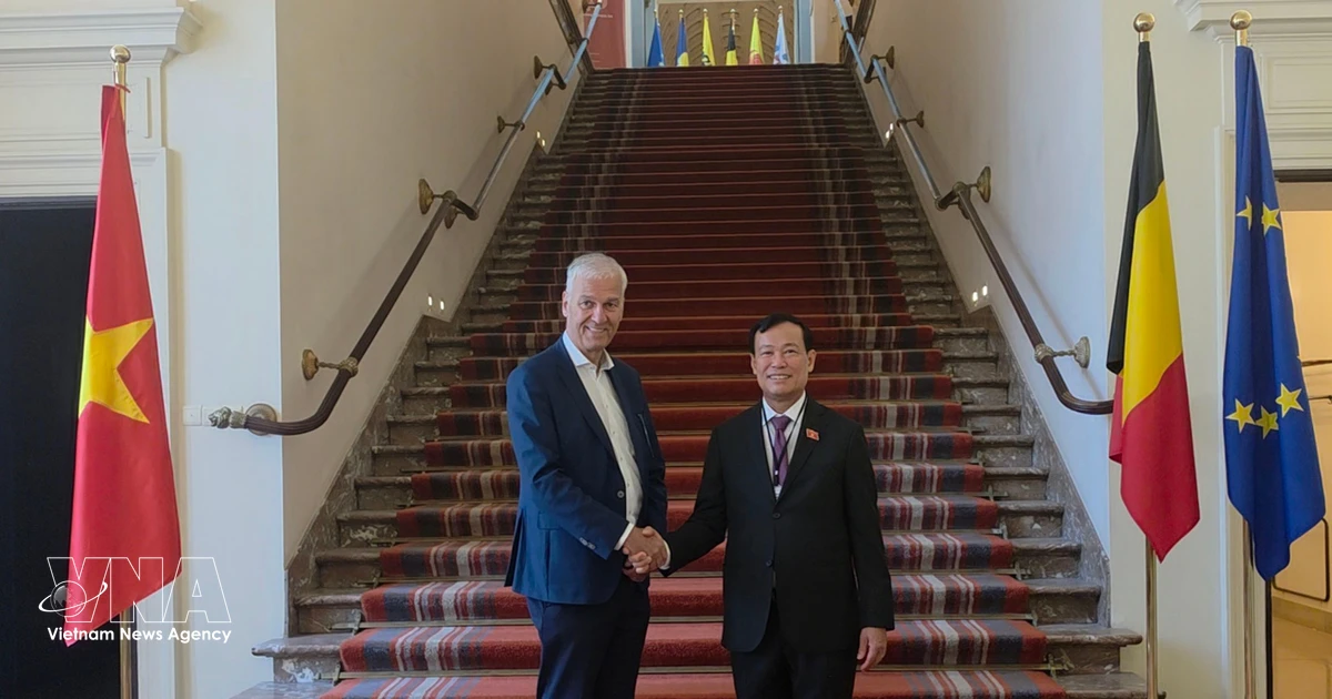 Vietnam, Belgium boost parliamentary cooperation, deepen bilateral relations