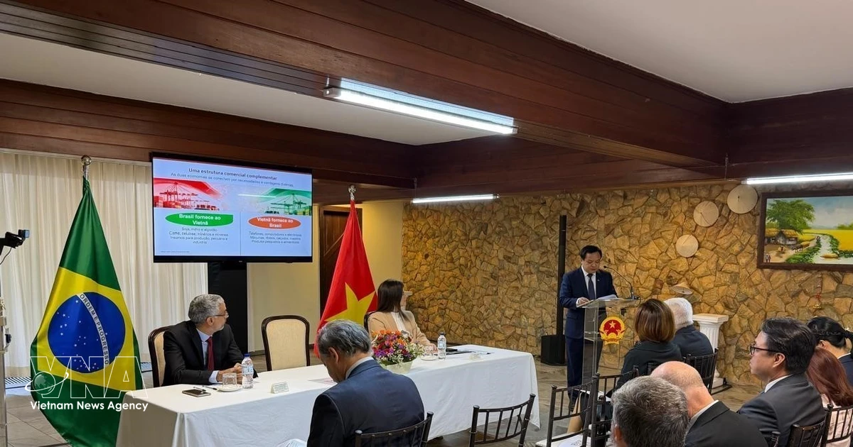 Vietnam, Brazil seek ways to promote trade, investment cooperation
