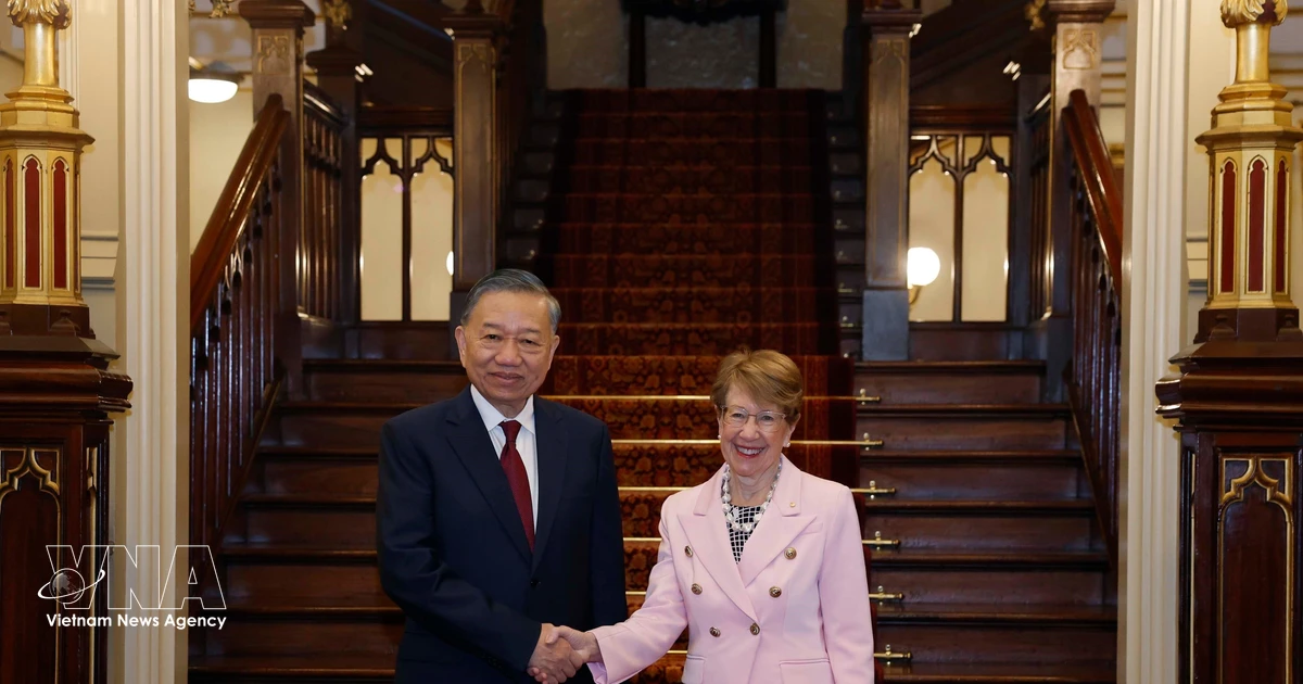 Top Vietnamese leader meets with Governor of New South Wales