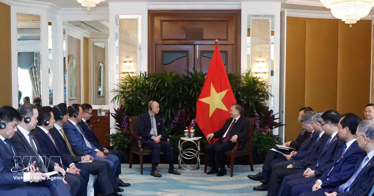 Top leader praises Singaporean investments’ contributions to Vietnam’s development