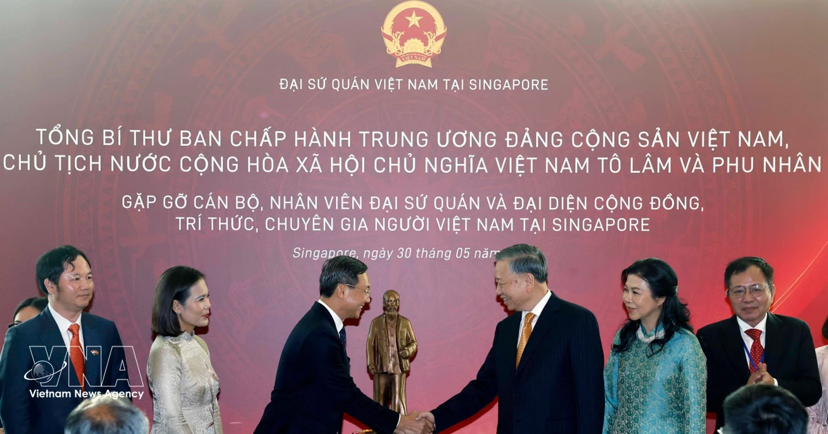 Vietnamese community in Singapore asked to continue serving as bridge for bilateral friendship