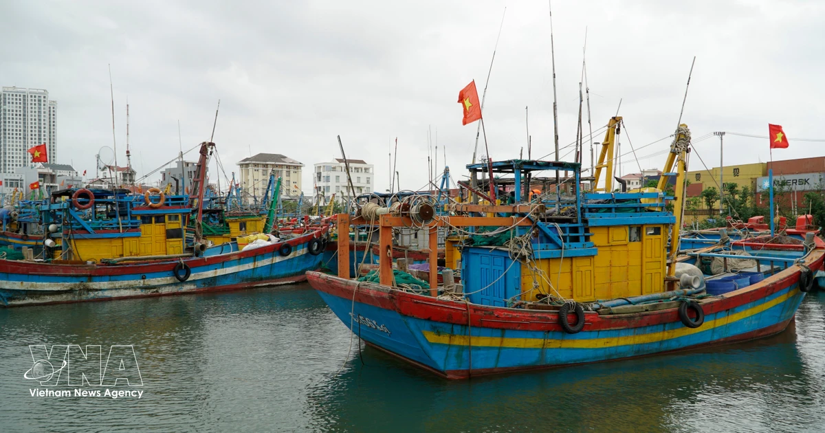 Gia Lai shifts towards reduced fishing, high-tech aquaculture development