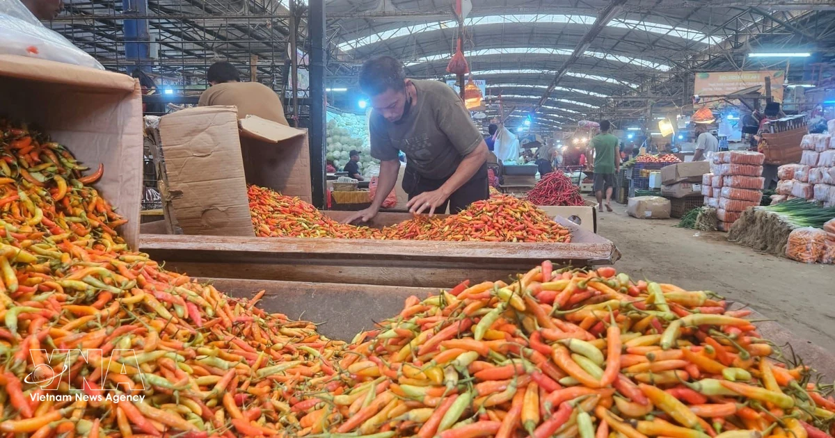 Indonesia reduces imports of strategic food commodities