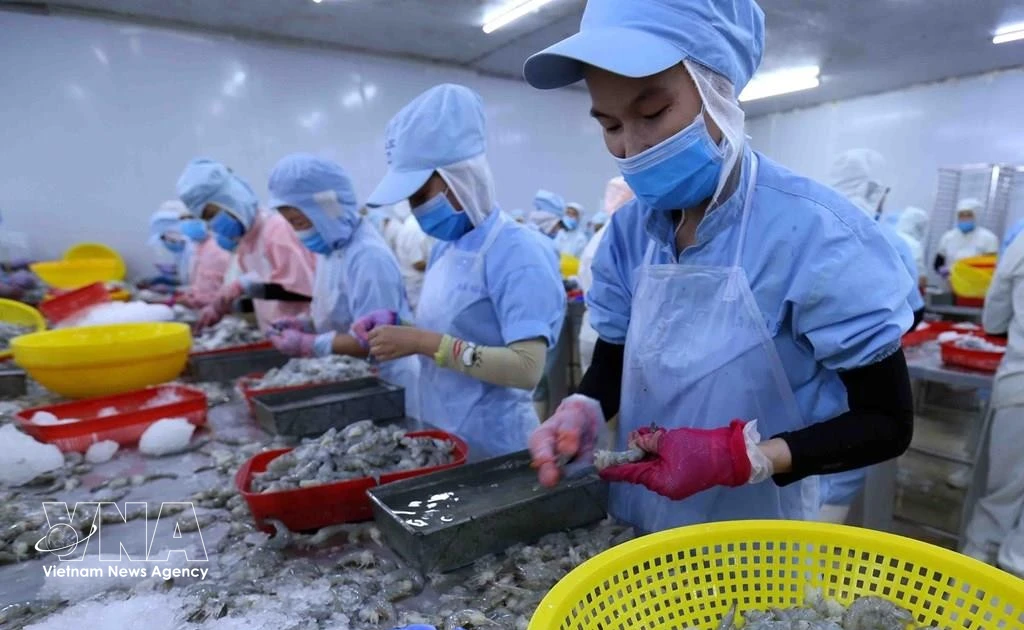International sourcing expo to open new supply chain links for Vietnam’s seafood sector
