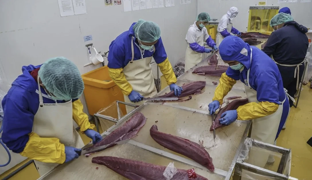 Indonesia steps up fishery exports to Türkiye, China