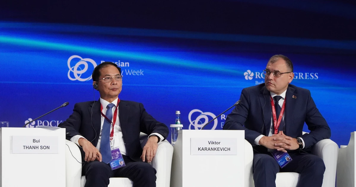 Deputy Prime Minister Bui Thanh Son at the forum (Photo: VNA)