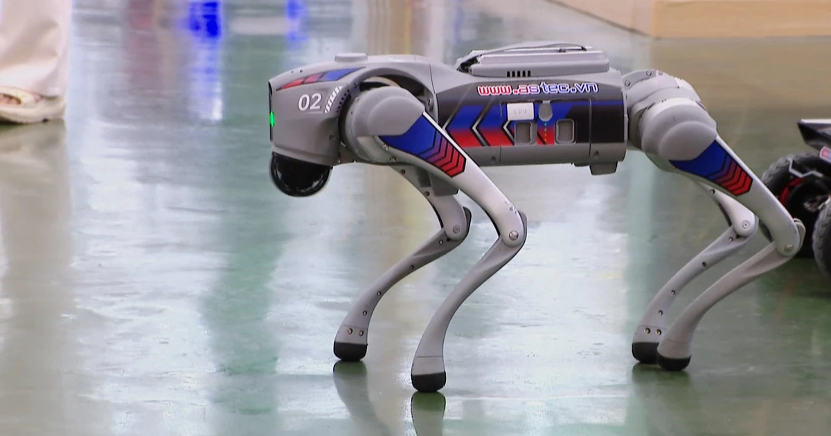 ‘Made-in-Vietnam’ robot dogs excite visitors at Autumn Fair