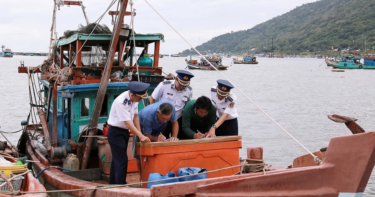 Owners of fishing vessels sign commitments not to engaging in illegal, unreported and unregulated (IUU) fishing. (Photo: VNA)