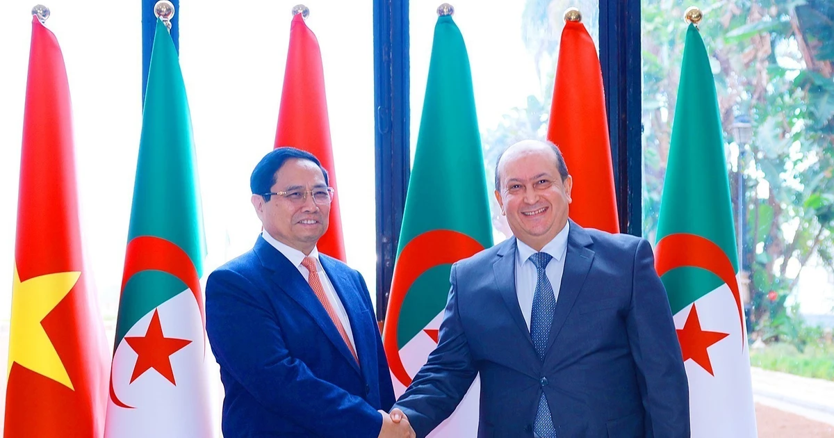 Prime Minister Pham Minh Chinh (left) and his Algerian counterpart Sifi Ghrieb. (Photo: VNA)