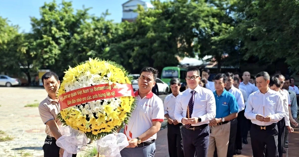 Overseas Vietnamese communities commemorate War Invalids and Martyrs’ Day