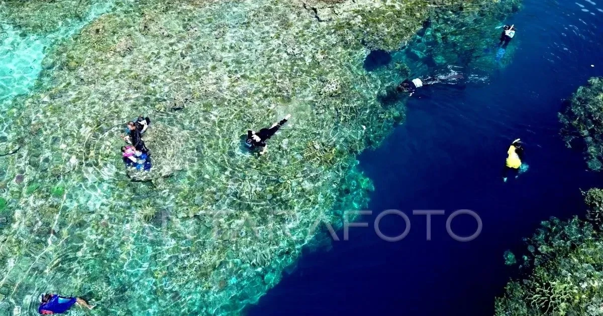 Indonesia, US launch debt-swap programme for coral reef protection