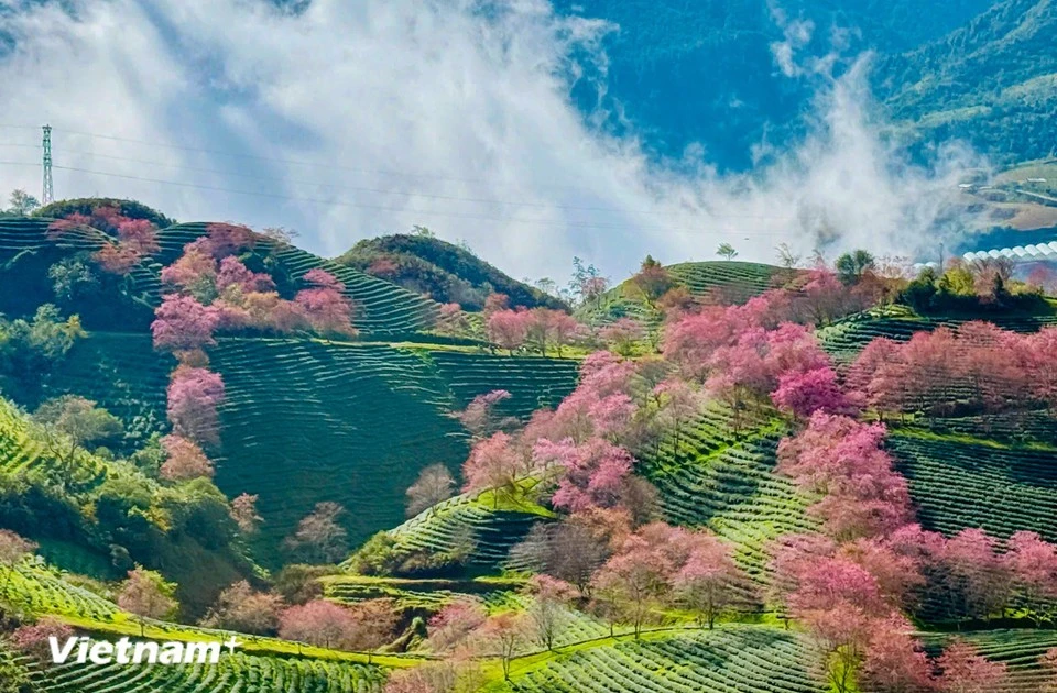 Why Vietnam is captivating the world