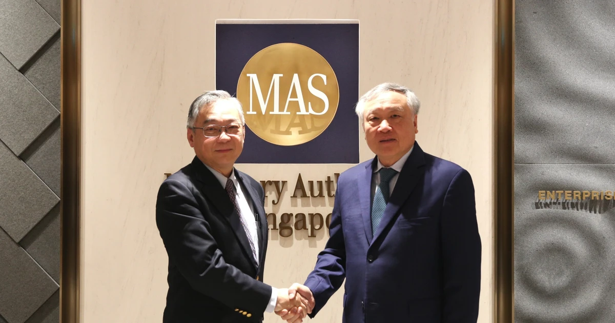 Permanent Deputy Prime Minister Nguyen Hoa Binh (right) meets with Singaporean Deputy Prime Minister Gan Kim Yong, who is also Minister for Trade and Industry and Chairman of the Monetary Authority of Singapore, on January 12. (Photo published by VNA)