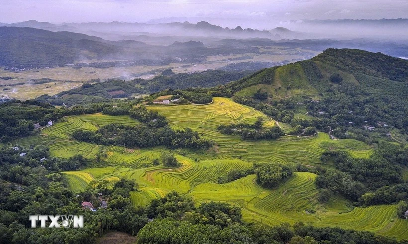 Phu Tho works to turn Mien Doi terraced fields into highlight on Vietnam’s tourism map