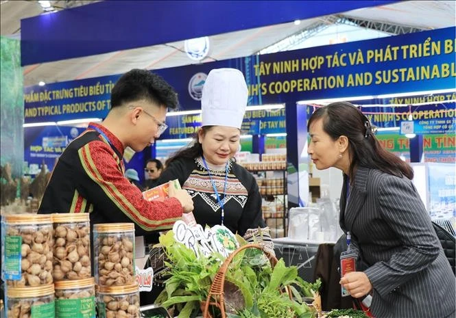 Vietnam–China int'l trade fair promotes economic, trade, investment cooperation