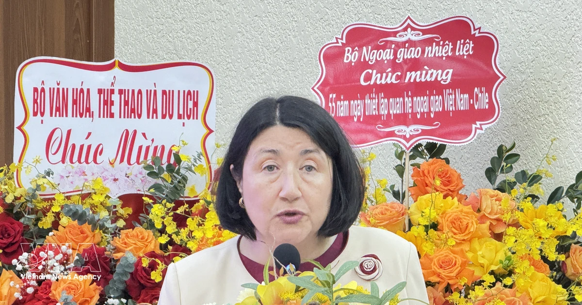 Vietnam, Chile celebrate 55th anniversary of diplomatic ties
