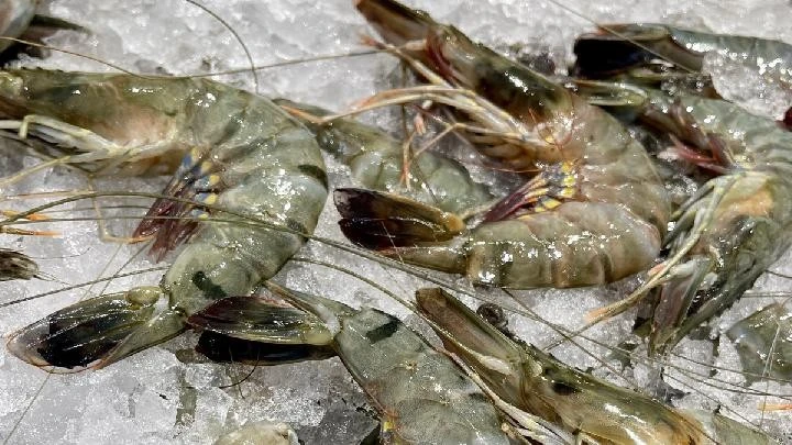 Indonesia resumes shrimp exports to US