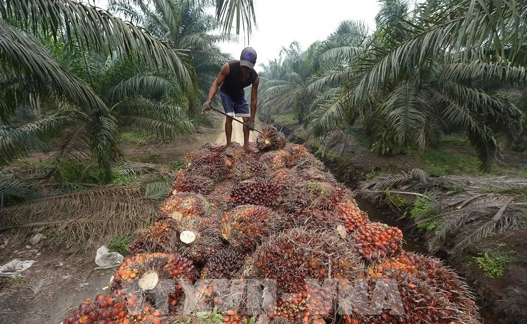 Indonesia diversifies crude oil import sources