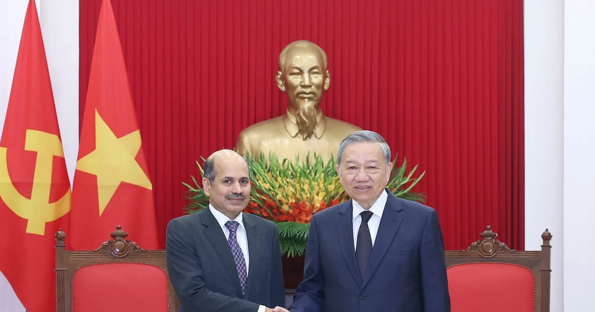 Party General Secretary To Lam (R) shakes hands with Indian Ambassador to Vietnam Sandeep Arya at their meeting on August 6, 2025 in Hanoi. (Photo: VNA)
