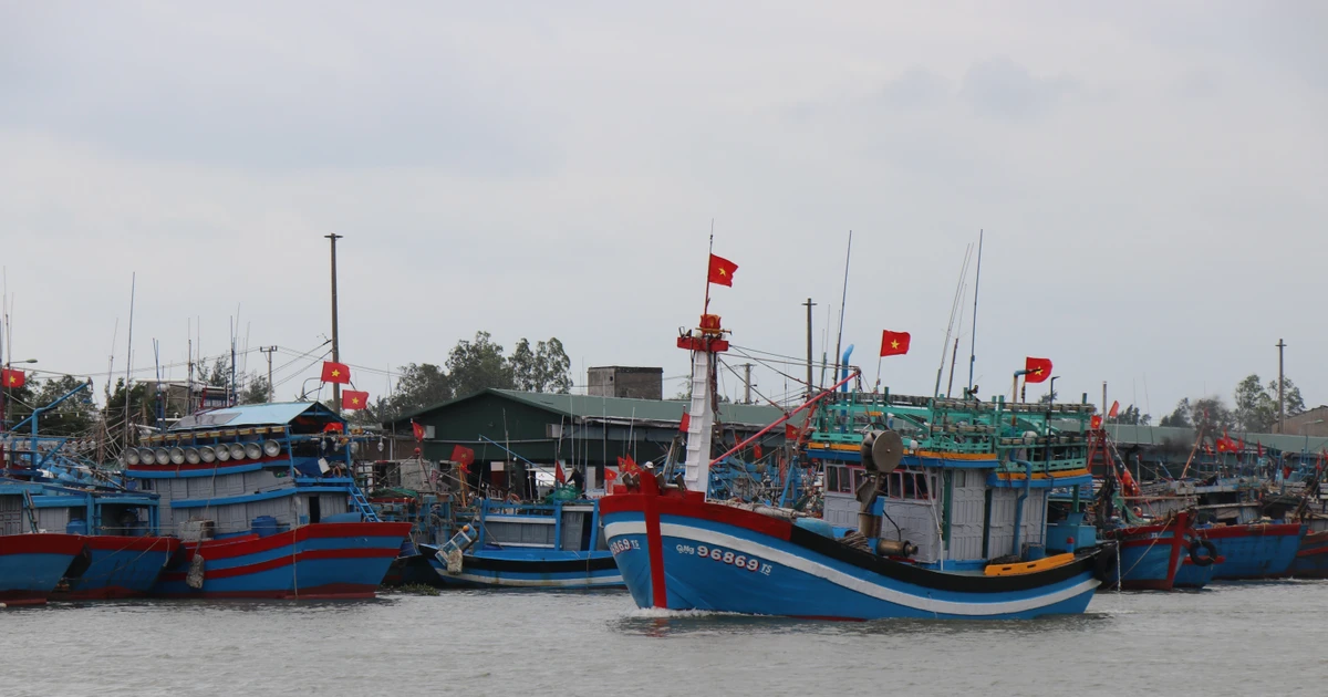 IUU fishing: Quang Ngai helps fishermen transition to sustainable livelihoods