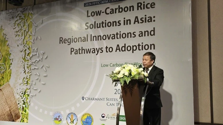 Science-driven solutions key to building low-emission rice sector: experts