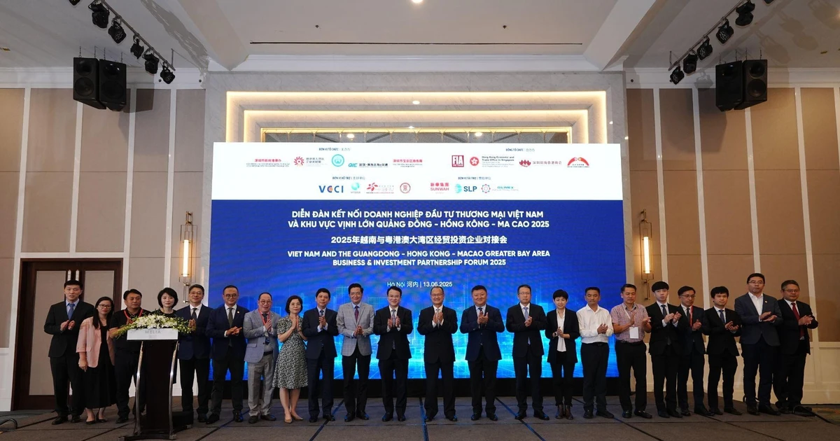 Vietnam and GBA Business & Investment Partnership Forum 2025 successful