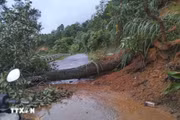 Prolonged heavy rain triggers landslides, disrupts traffic in Son La, Dien Bien