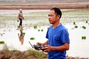 Young farmer brings technology to organic rice fields