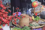 Cao Bang cuisine - the flavour of mountain, river and forest