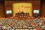 The 9th extraordinary session of the National Assembly (Photo: VNA)