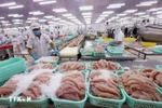 The US' official recognition of Vietnam’s tra fish food safety control system as equivalent to its own will facilitate access and market expansion for the Vietnamese products. (Photo: VNA)