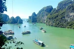 Digital ecosystem helps boost Vietnam’s tourism growth