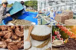 Agro-forestry-fishery exports rise over 14% in H1
