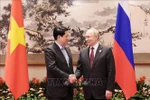 Vietnamese State leader meets Russian President in China