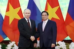 Prime Minister Pham Minh Chinh (R) meets with Russian President Vladimir Putin in Hanoi in June 2024. (Photo: VNA)