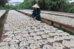 Bustling dry fish village in Dong Thap gears up for Tet