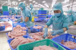 Vietnam’s fishery sector diversifies export markets, products