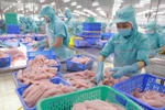 Vietnam’s fishery sector diversifies export markets, products