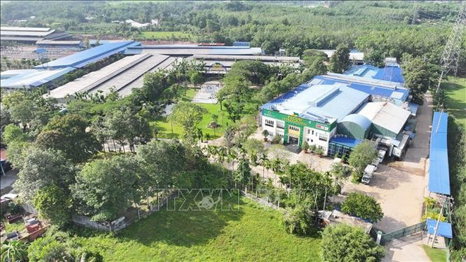 The vast, closed-loop livestock farm and processing plant of PACOW International Co., Ltd. (Photo: VNA) tay-ninh-16625-12.jpg