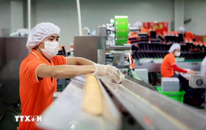 Producing export goods. (Illustration photo: VNA) innovation-2.jpg