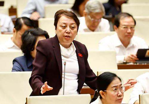 Deputy Pham Khanh Phong Lan from Ho Chi Minh City. (Photo: VNA) vna-potal-quoc-hoi-thao-luan-ve-du-an-luat-sua-doi-bo-sung-mot-so-dieu-cua-bo-luat-hinh-su-8056559.jpg