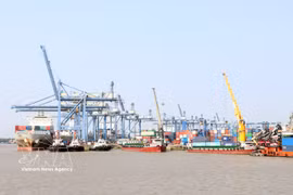Ho Chi Minh City aspires to develop Can Gio megaport