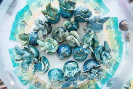 Story told by ceramic turtles