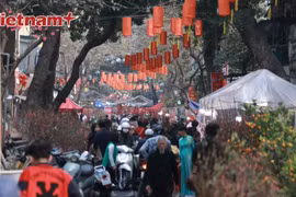 Festive spirit of Tet in Hanoi’s Old Quarter 