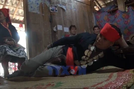 Attempts to preserve Dao Tien ethnic community’s cultural