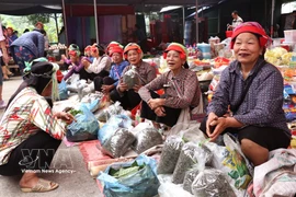 Rural market rich in traditional charm in Tuyen Quang province